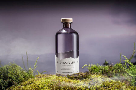 Great Glen Gin gets the top spot in this list of Best Scottish Gins for 2023